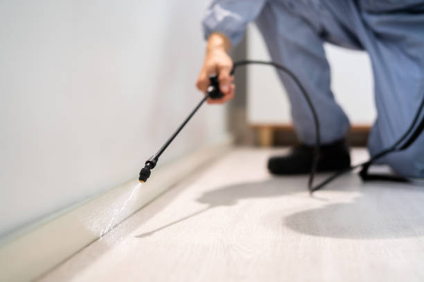 Licensed Pest Control service in West Liberty, WV - Show Me Pest Control