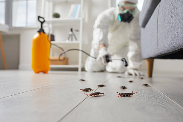 Commercial Kitchen Cockroach Control in West Liberty